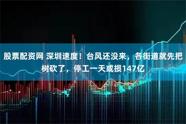 股票配资网 深圳速度！台风还没来，各街道就先把树砍了，停工一天或损147亿