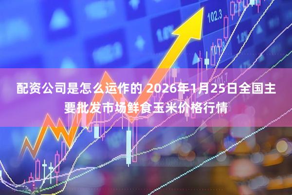 配资公司是怎么运作的 2026年1月25日全国主要批发市场鲜食玉米价格行情
