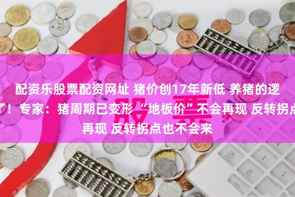 配资乐股票配资网址 猪价创17年新低 养猪的逻辑彻底变了！专家：猪周期已变形 “地板价”不会再现 反转拐点也不会来