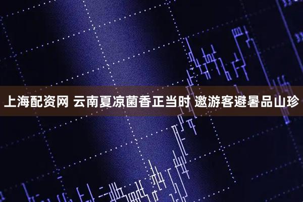 上海配资网 云南夏凉菌香正当时 邀游客避暑品山珍